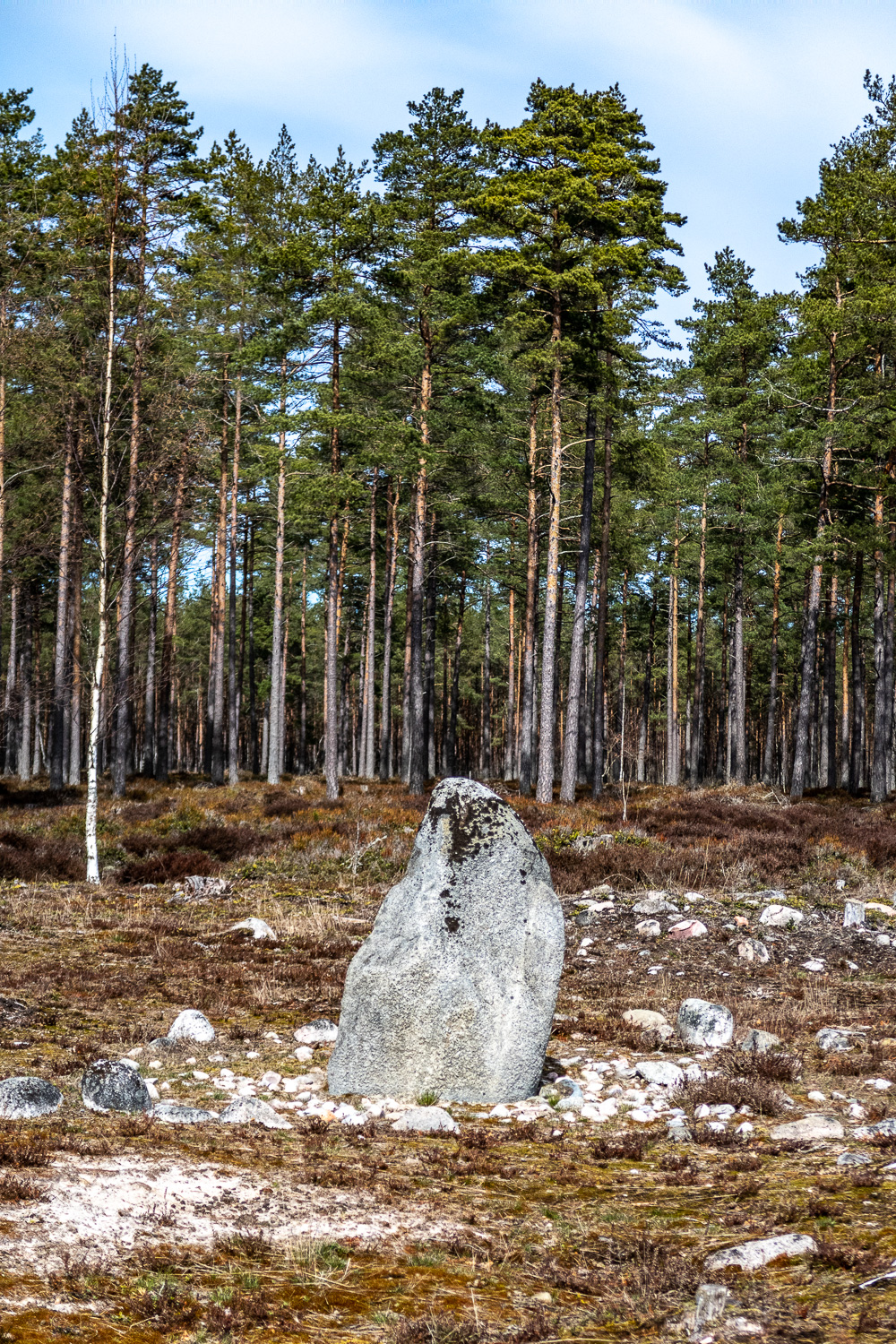 Rest sten vid Rosendals järnåldersby