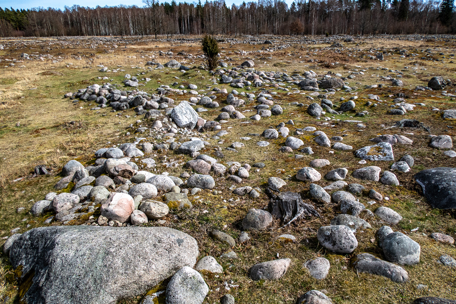 Rosendals järnåldersby