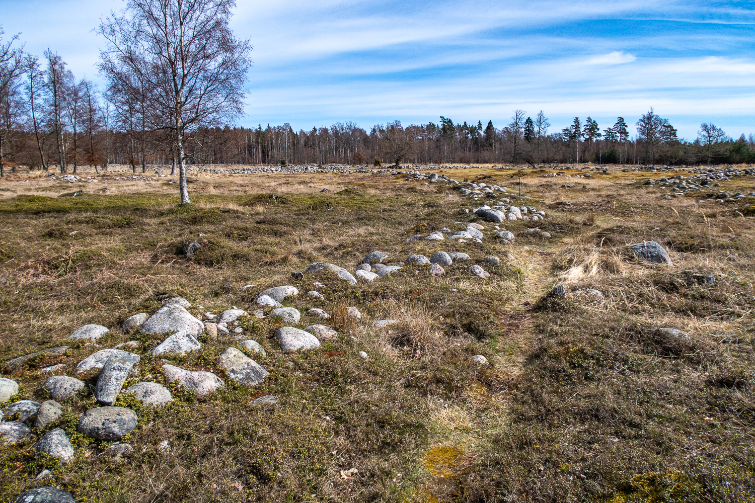 Rester av byggnation vid Rosendals järnåldersby