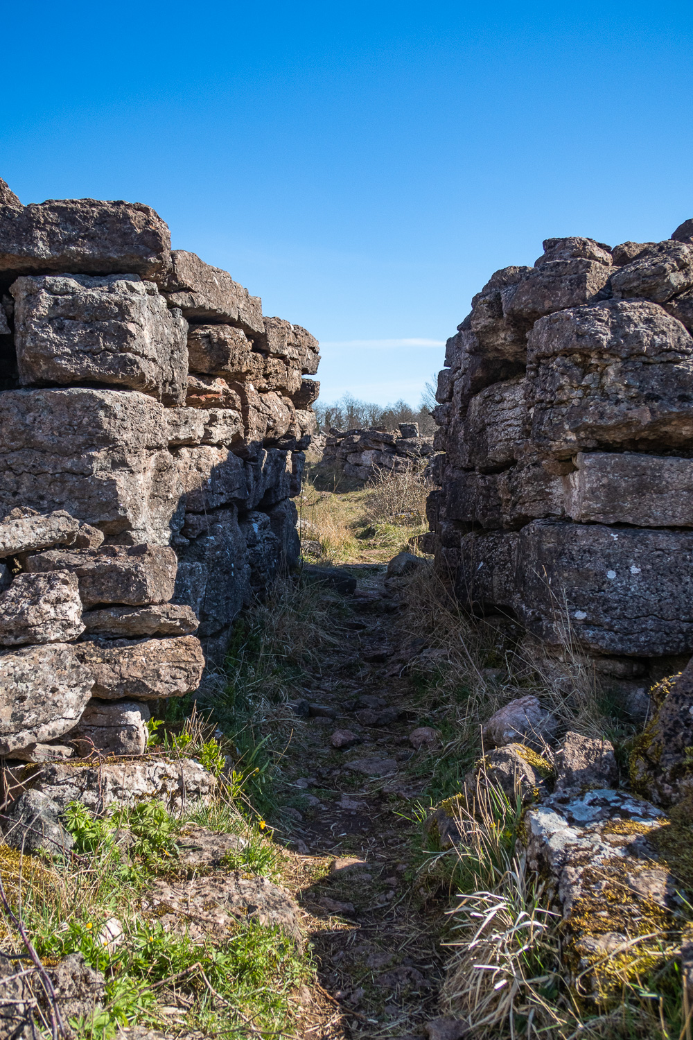 Port in till Ismanstorps borg