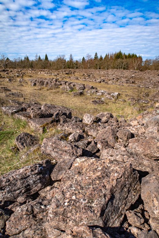 Husgrunder i Ismanstorps borg