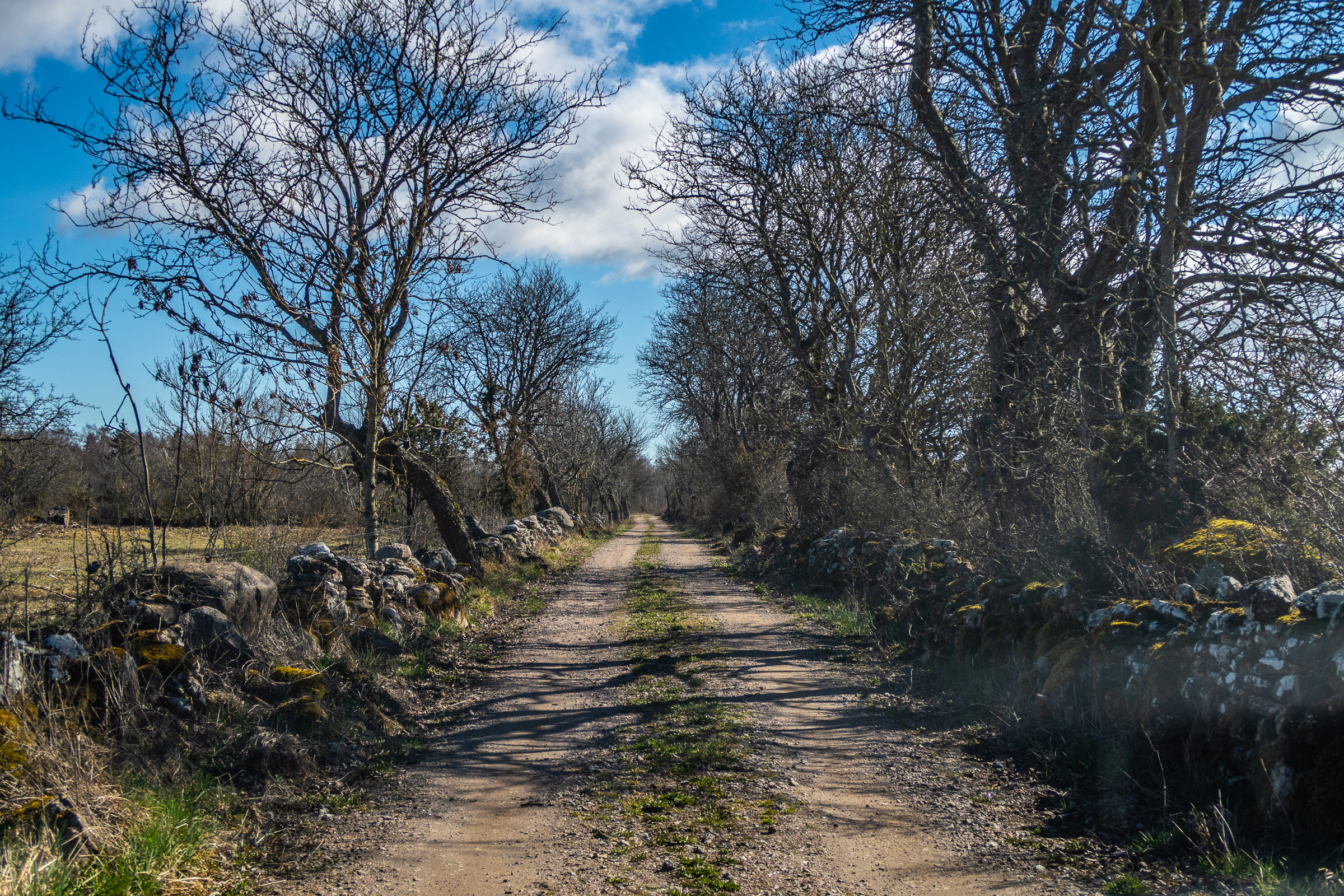 Grusväg till parkering vid Jordtorpåsens naturreservat