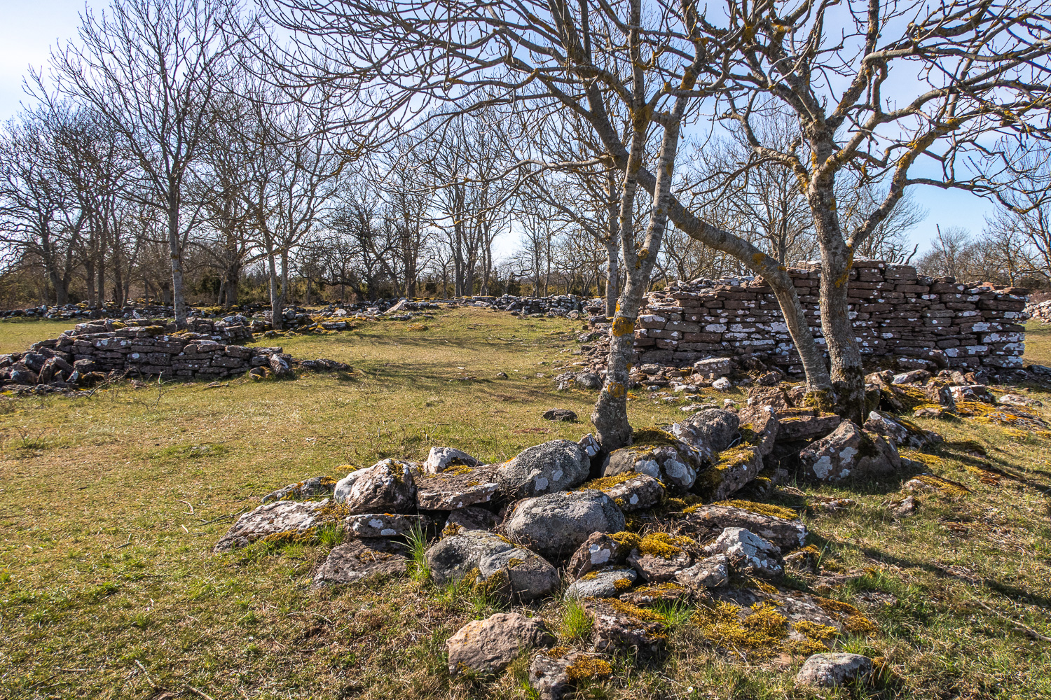 Ruiner av gamla byn Dröstorp