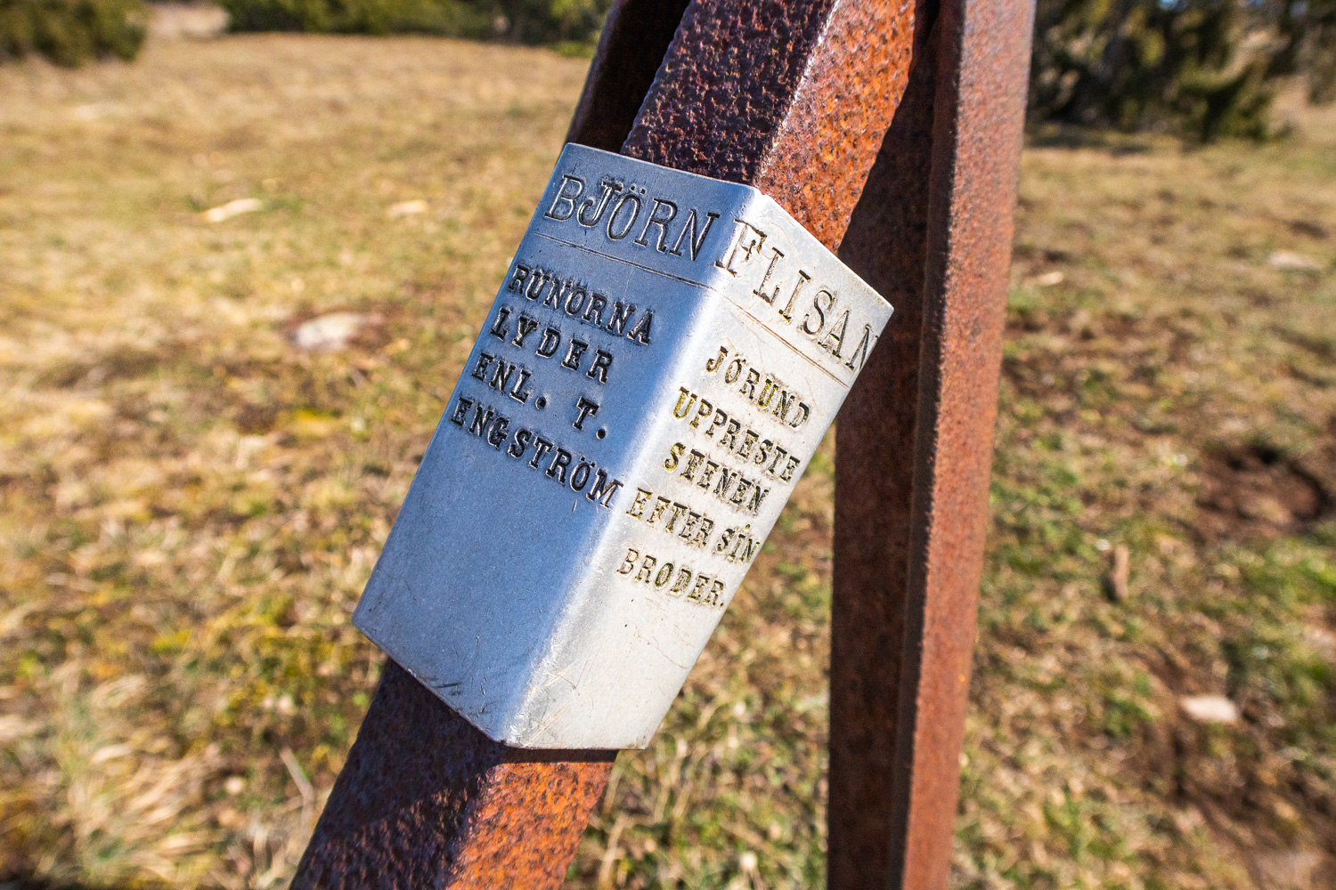 Skylt visar vad som ristats in i runstenen Björnflisan