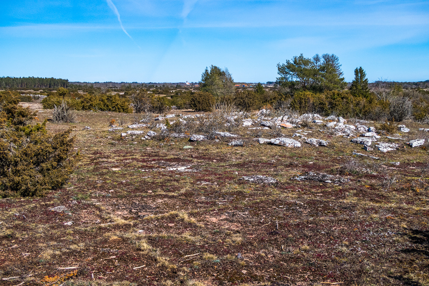 Stenhög på Alvaret