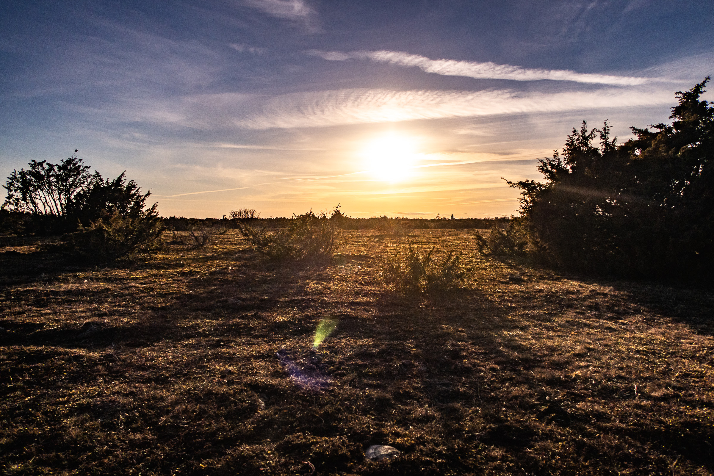 Solen på väg ner över Alvaret