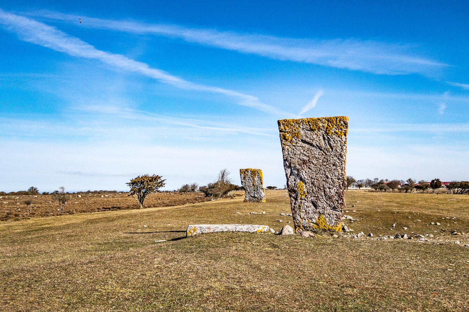 Kungsstenarna syns tydligt i landskapet på södra Öland