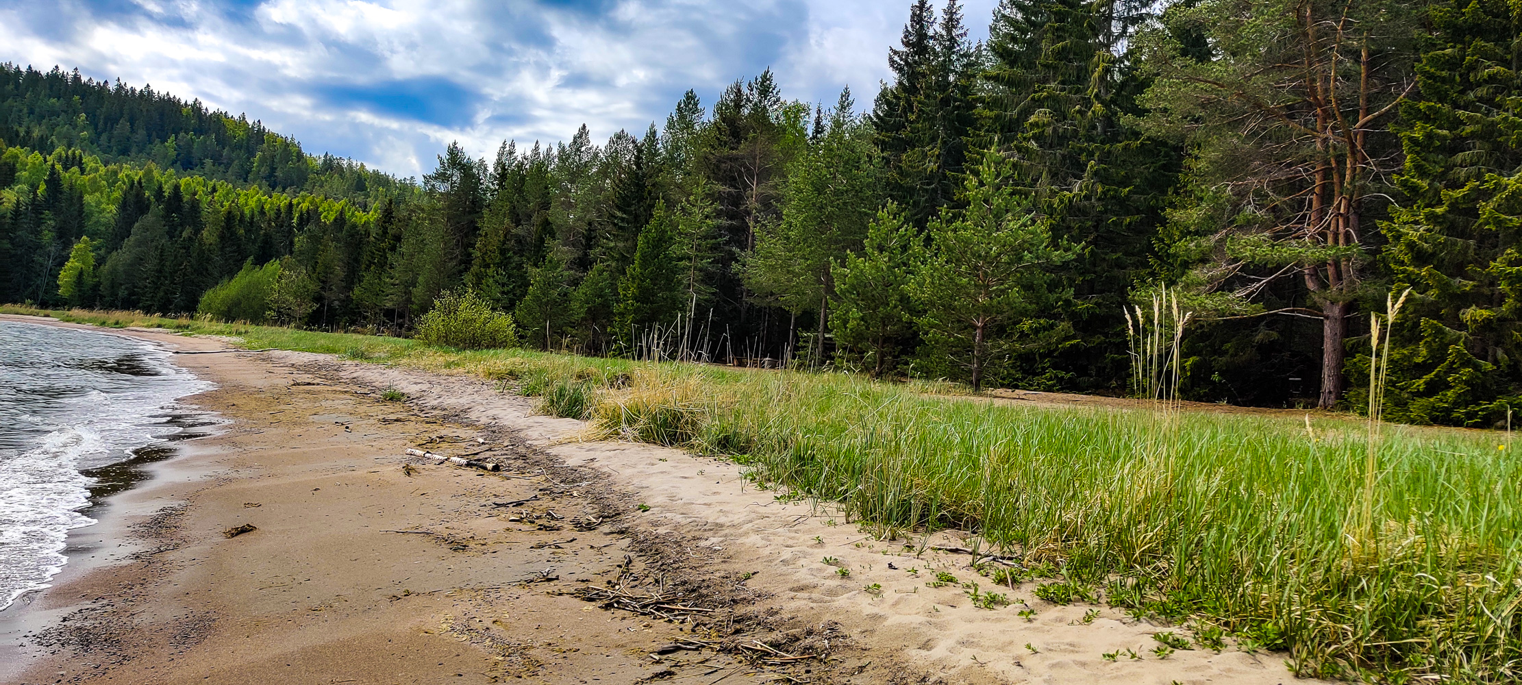 Stranden vid Kälaviken i Skuleskogens nationalpark