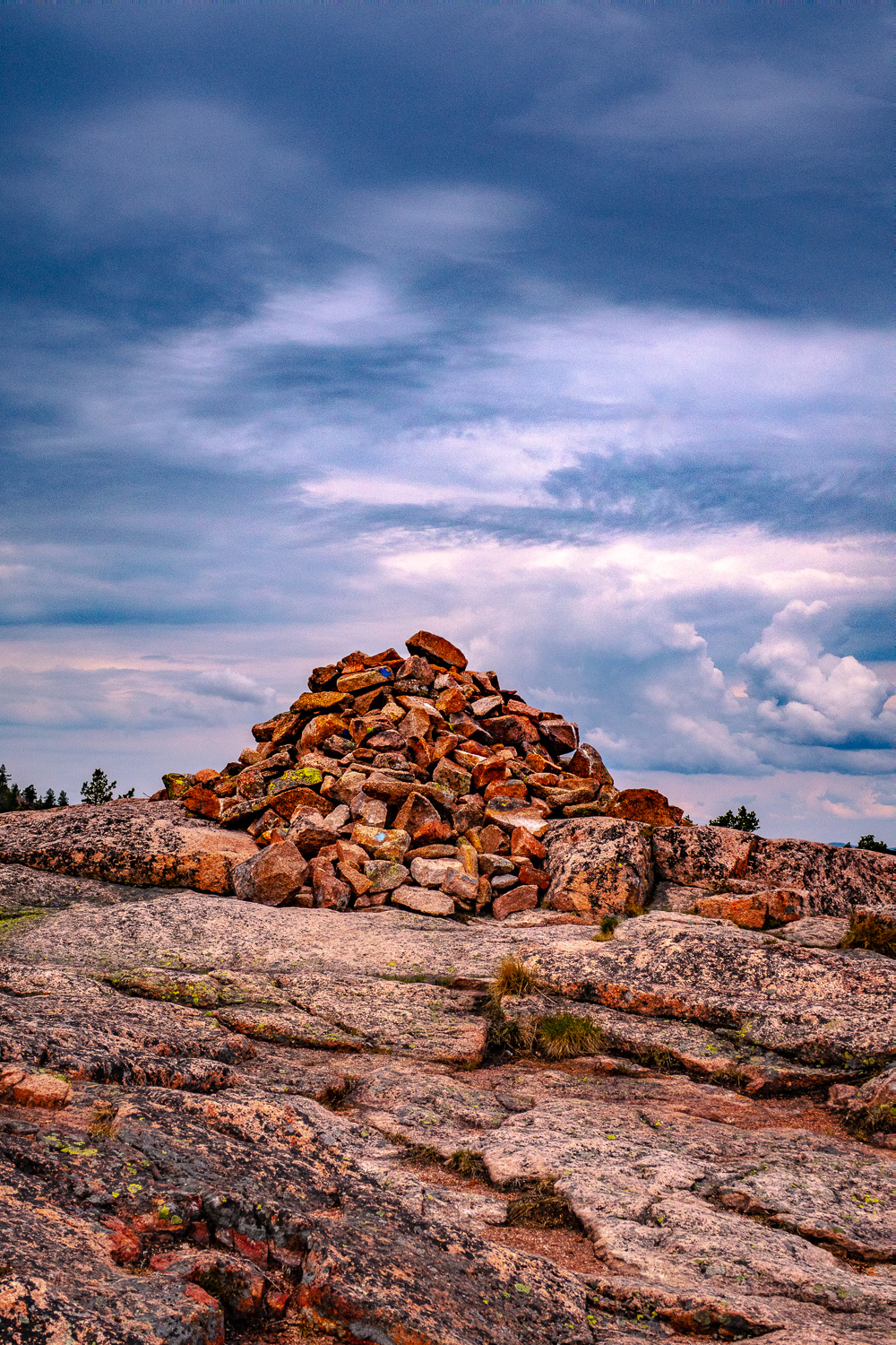 Toppröse på Slåttdalsberget