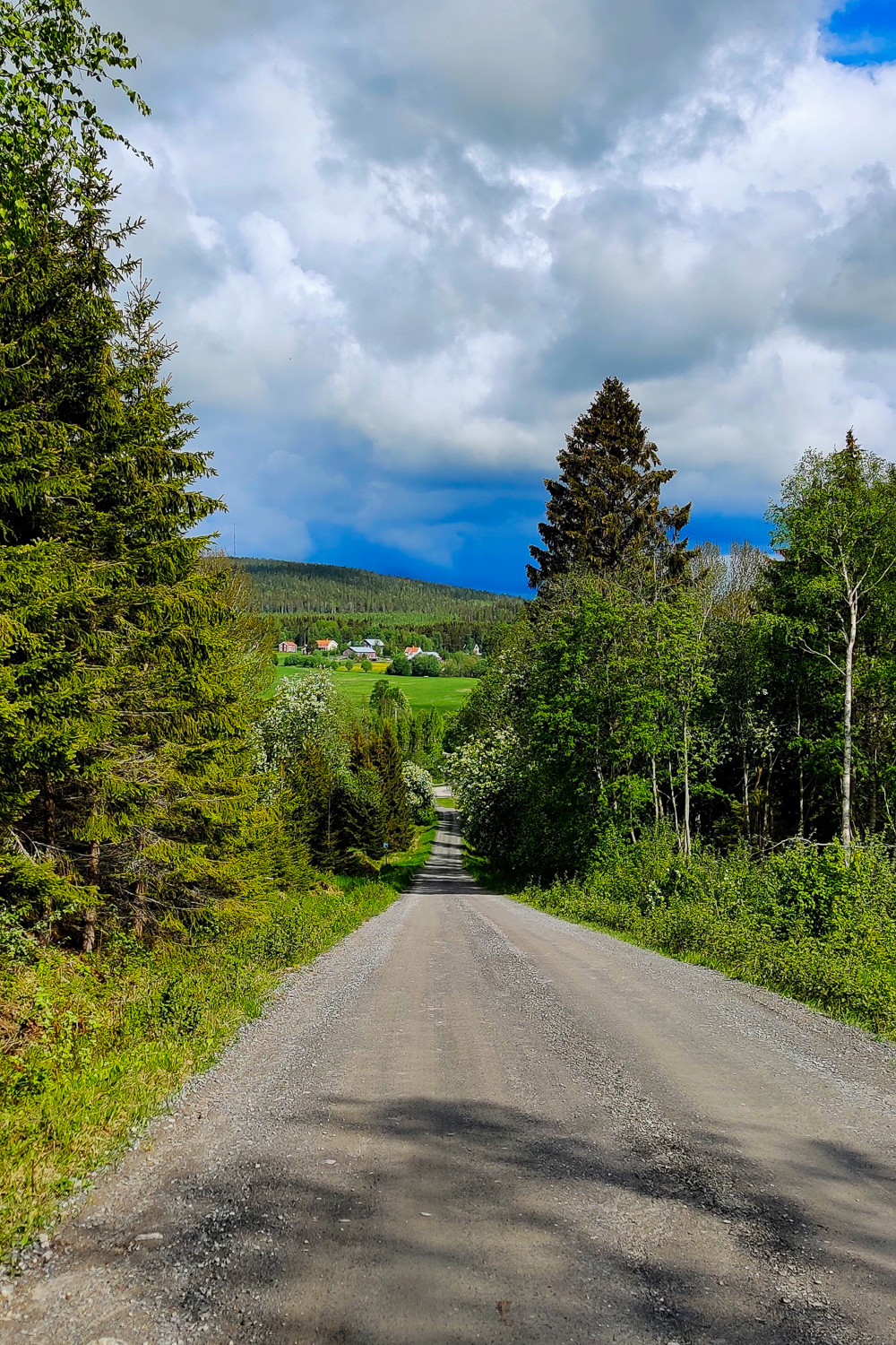 Grusväg norr om Skuleskogens nationalpark