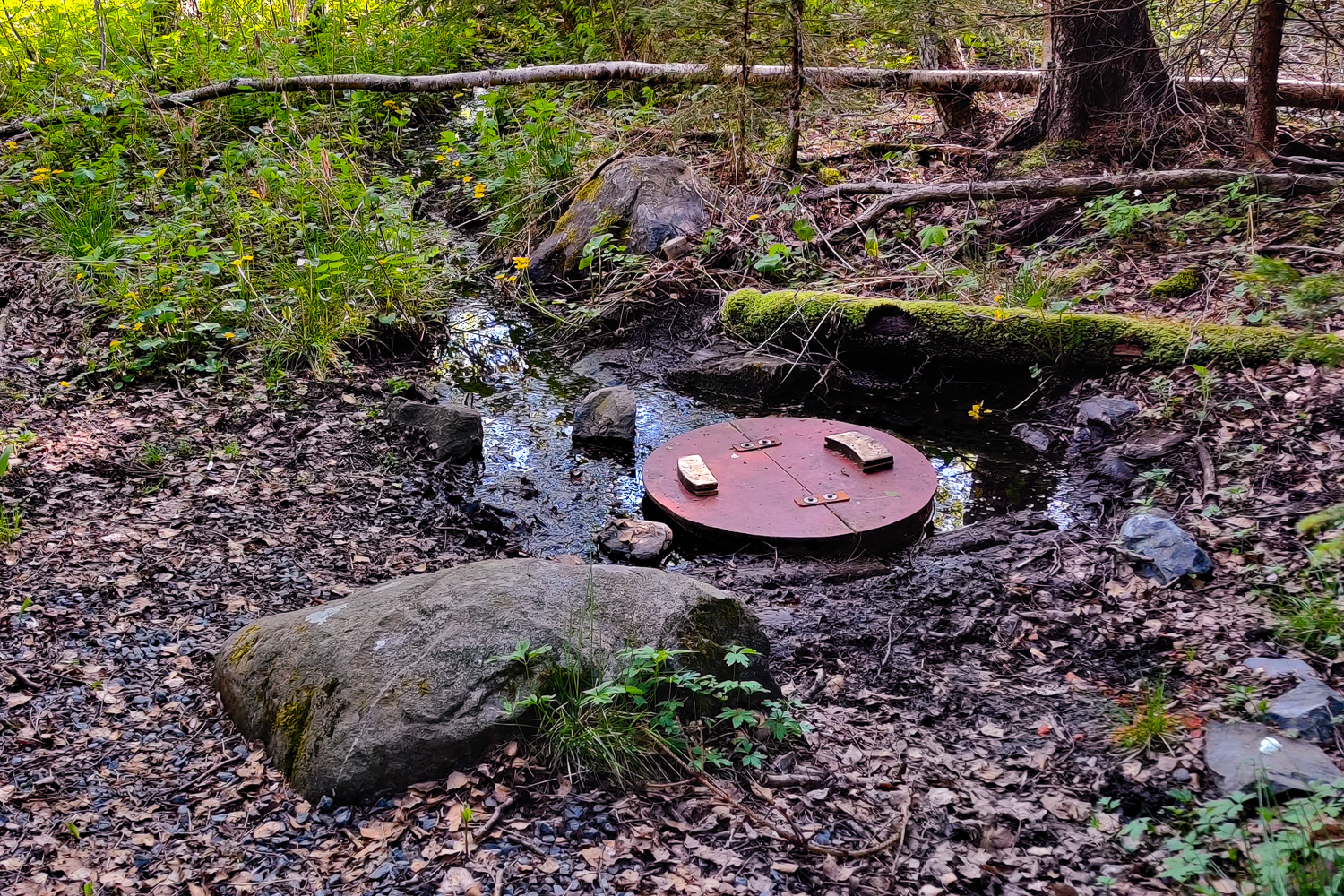 Kallkälla med vatten vid Fjärdbotten