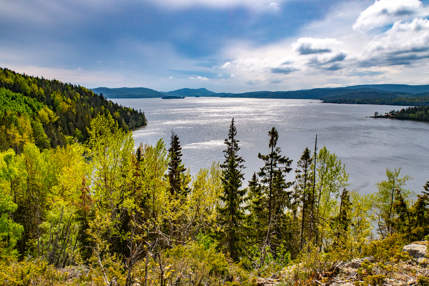 Utsikt från Älgberget