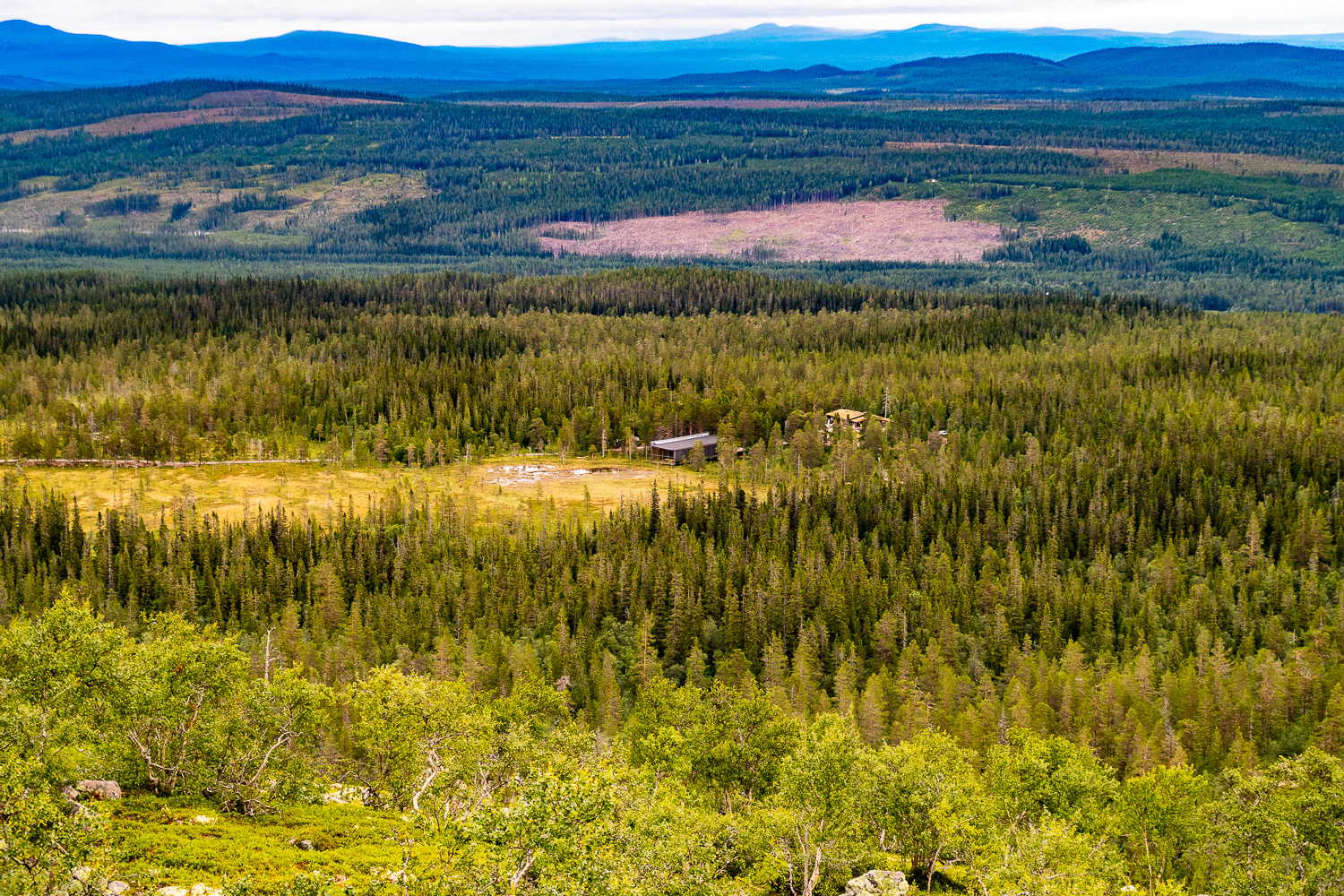 Utsikt över Naturum, Fulufjällets nationalpark