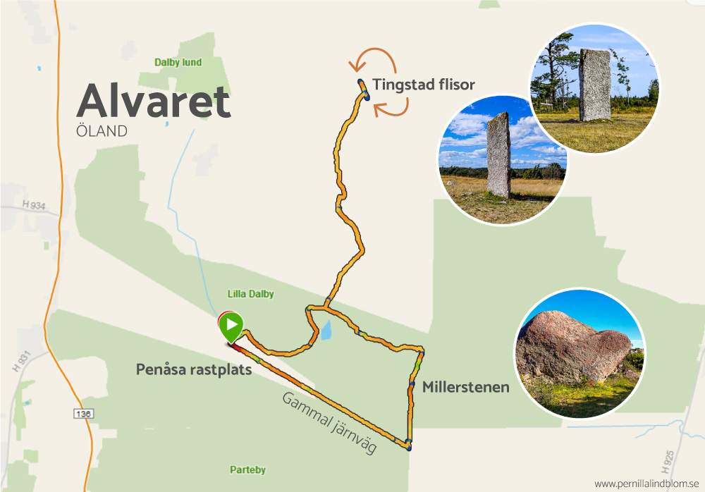 Karta, aktivitetsspårning, över löptur på Alvaret