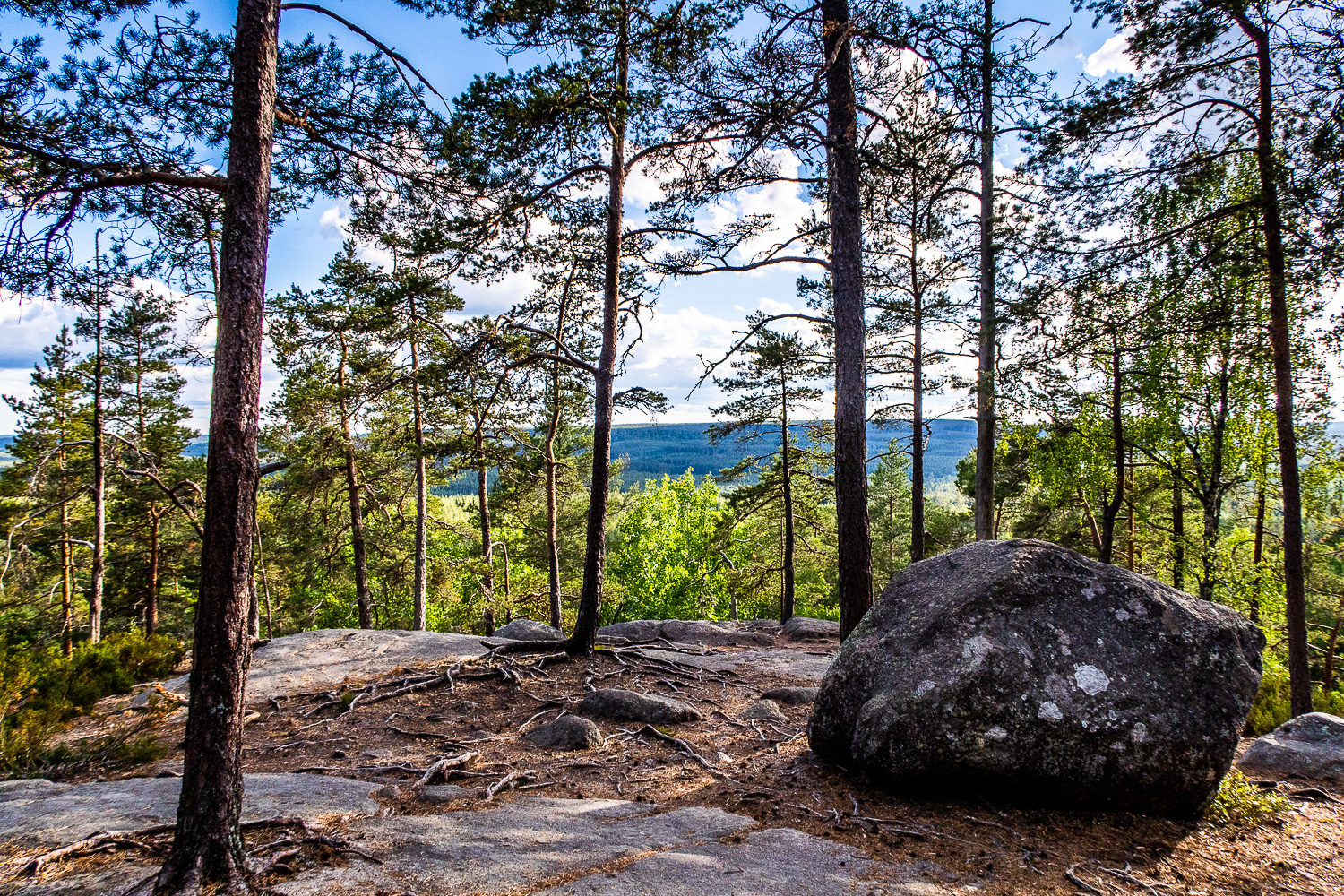 Utsikt från högsta punkten i Norra Kvills nationalpark