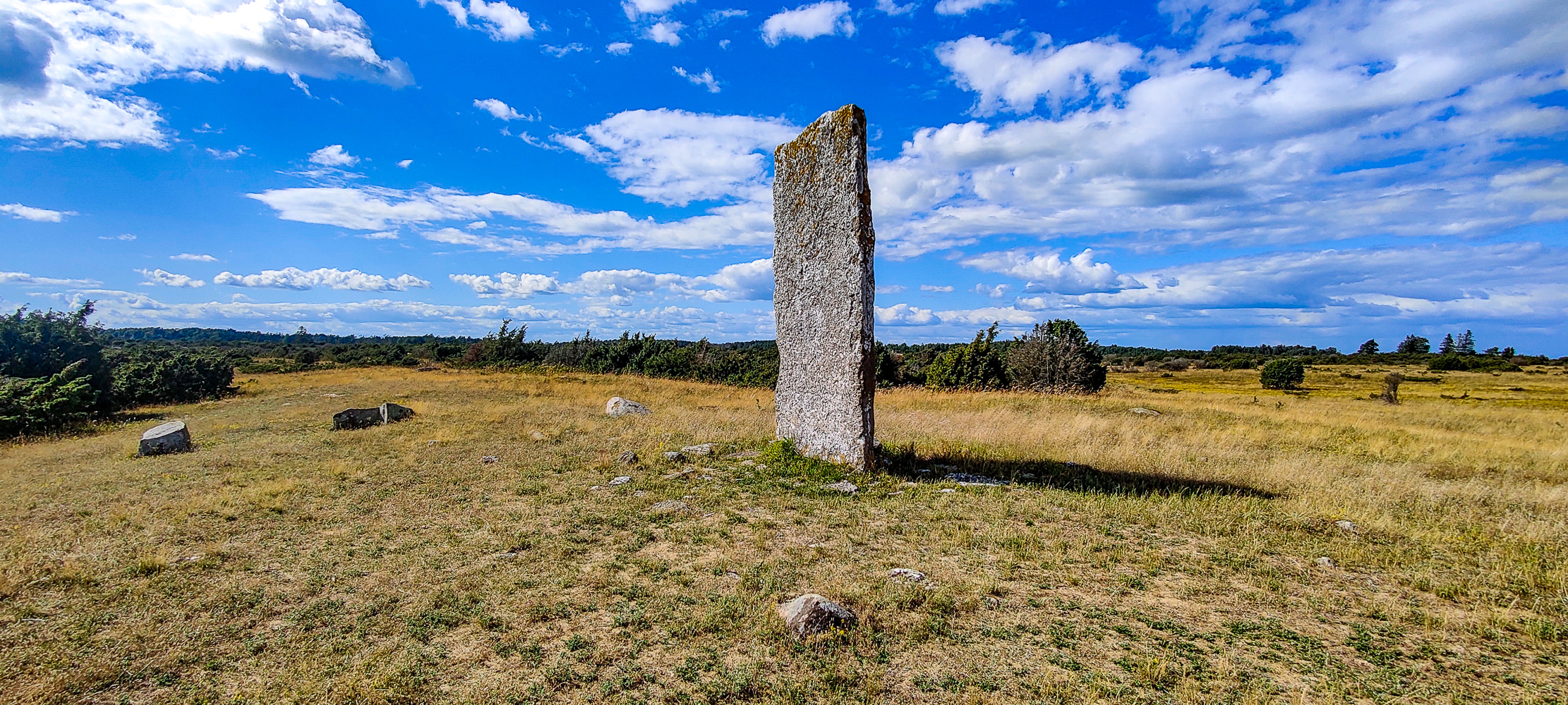 Den ena av Tingstad flisor på Öland