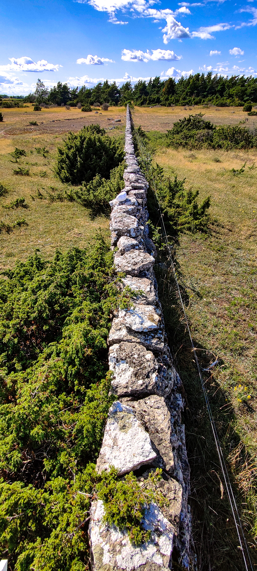 Rak stenmur på Öland