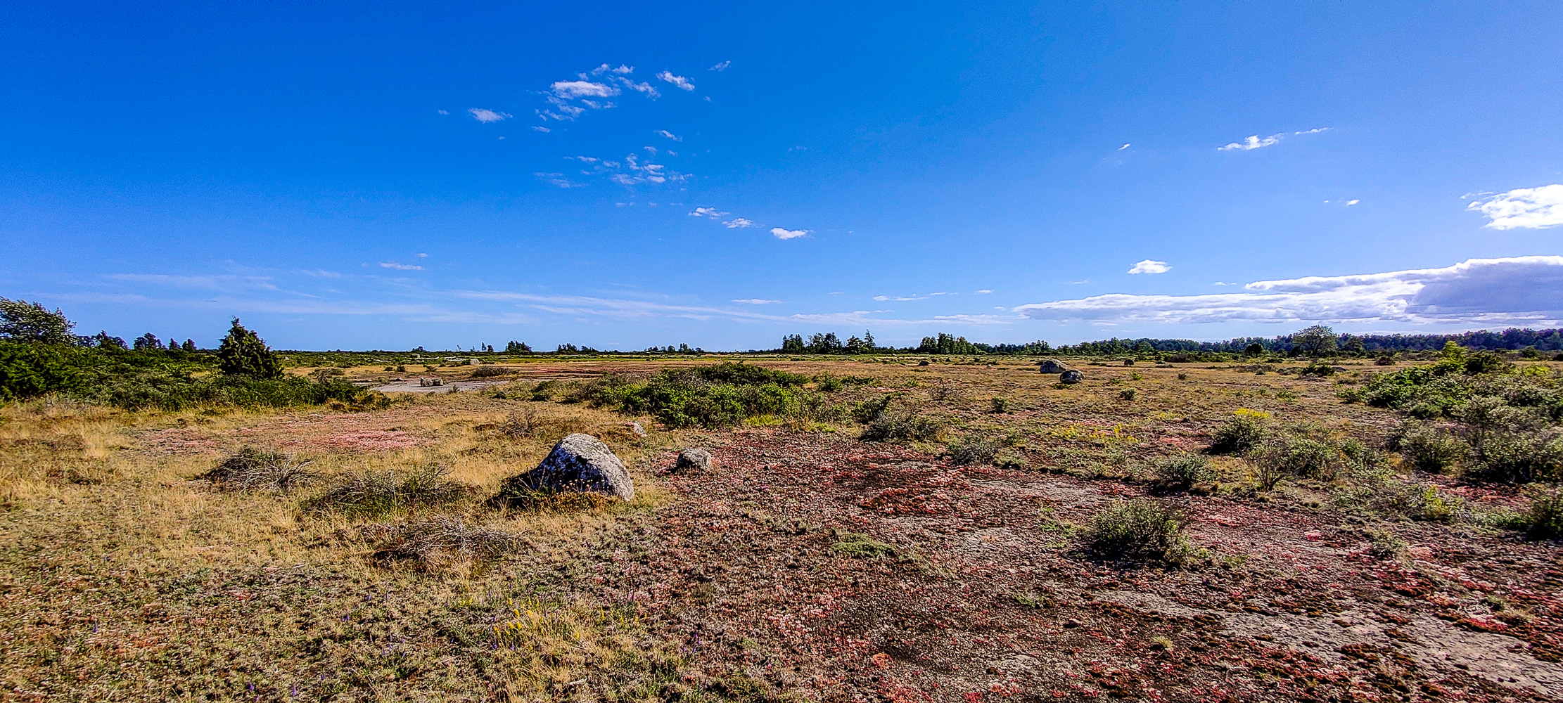 Kargt landskap, Alvaret