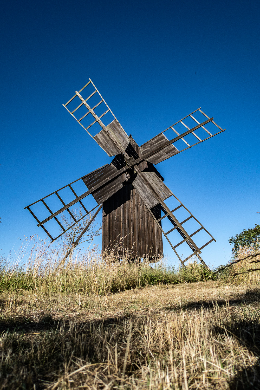 Gammal kvarn, södra Öland