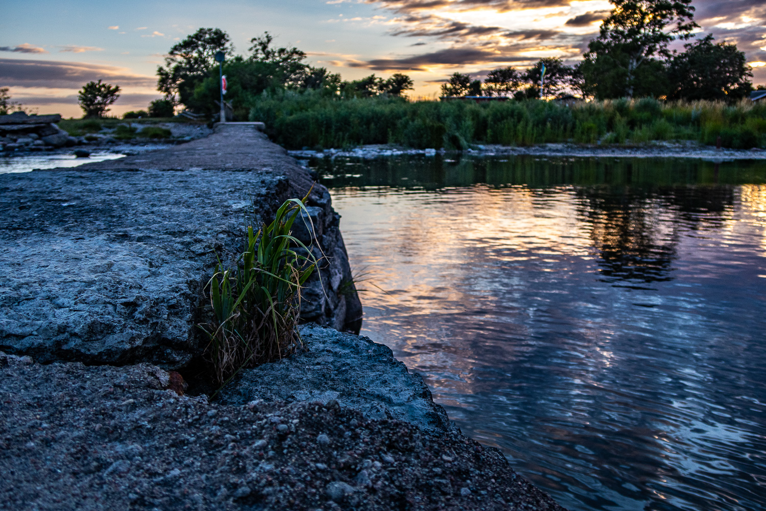 Utsikt över land från bryggan vid Seby badplats