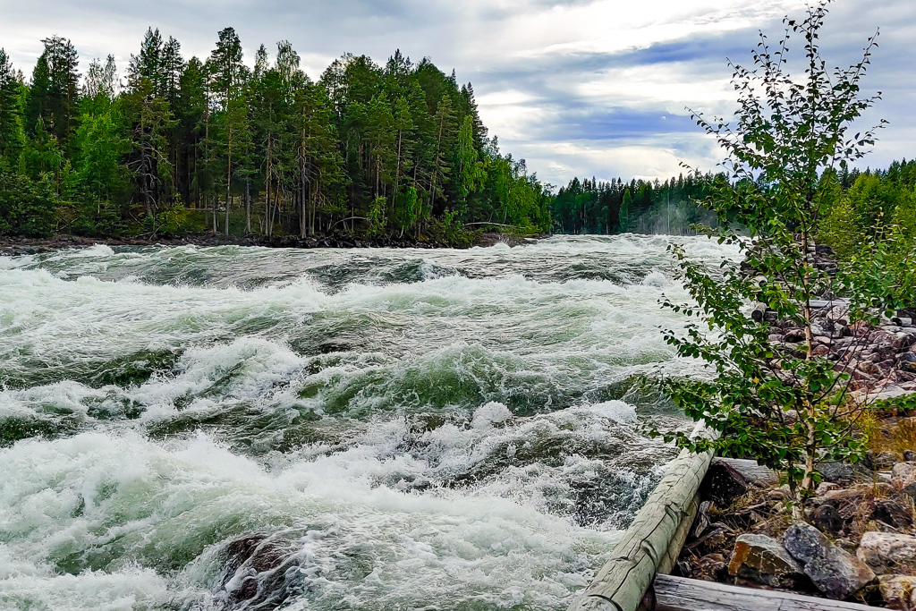 Vy över Storforsen uppströms