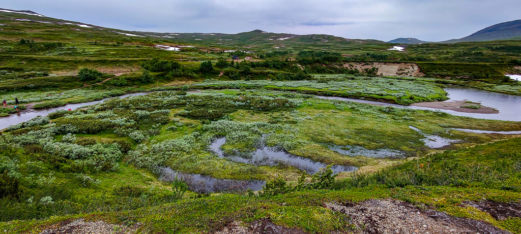 Meandrande fjällbäckar