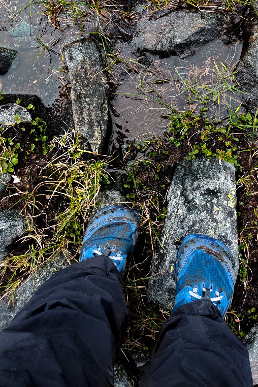 Trailskor används vid fjällvandring