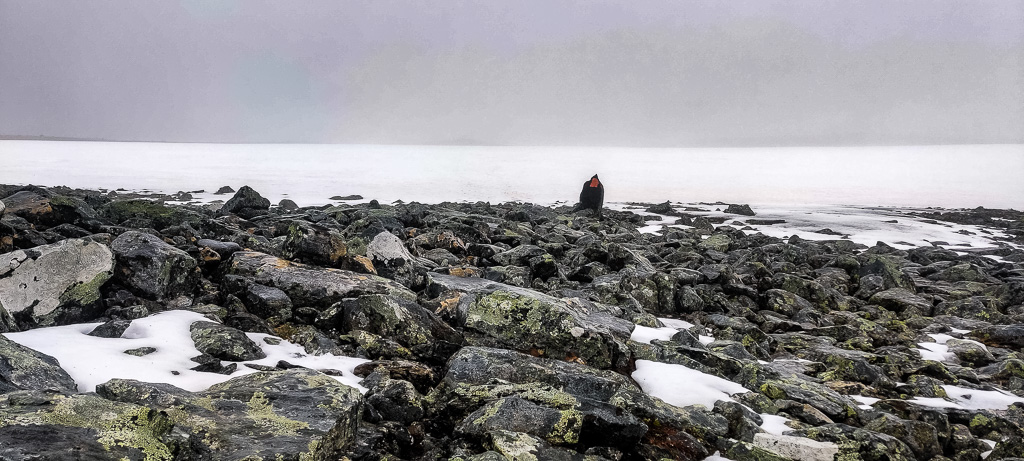 Dimma vid snöpassage vid vandring runt Sylarna