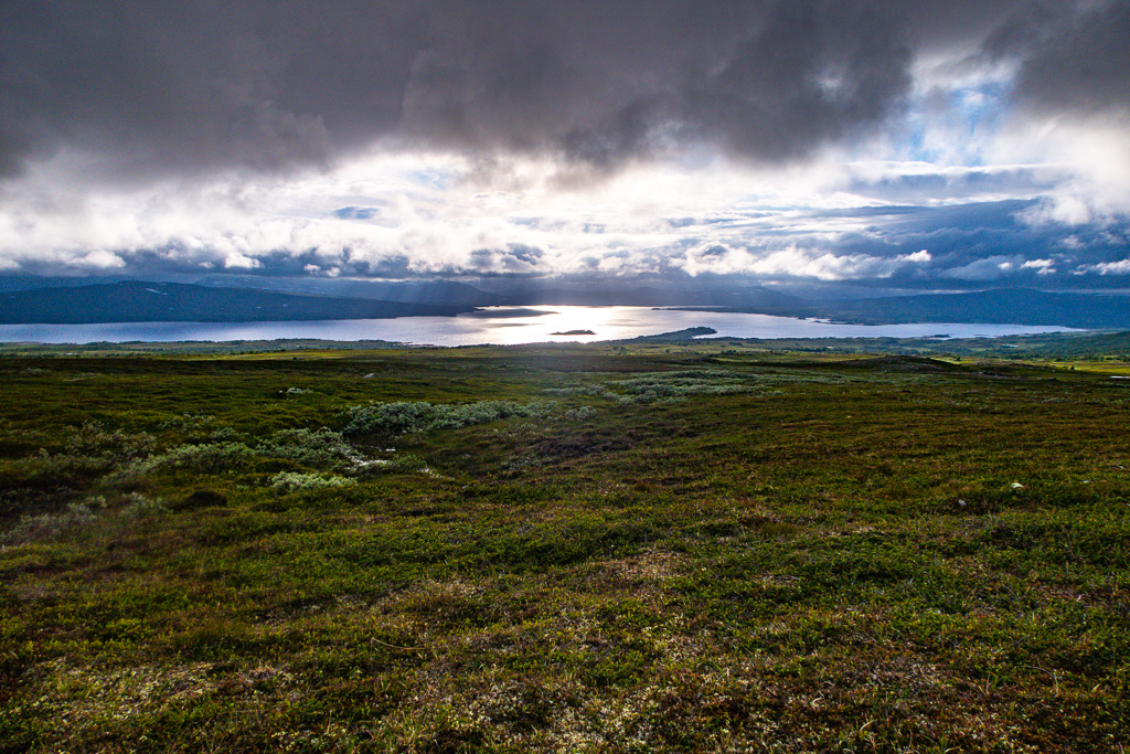 Solljus glänser på sjö