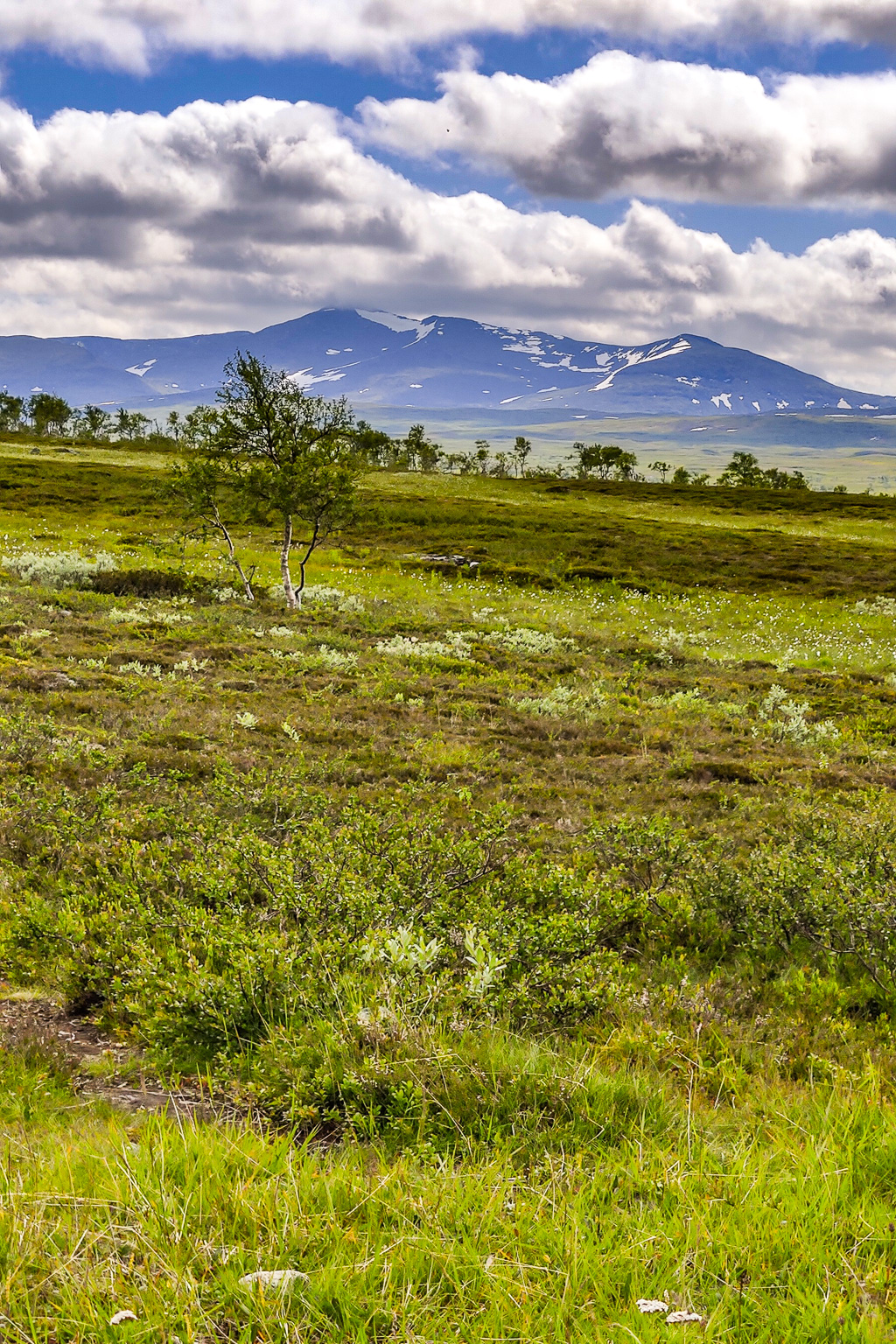 Fjällkedja i fjärran vid vandring runt Sylarna