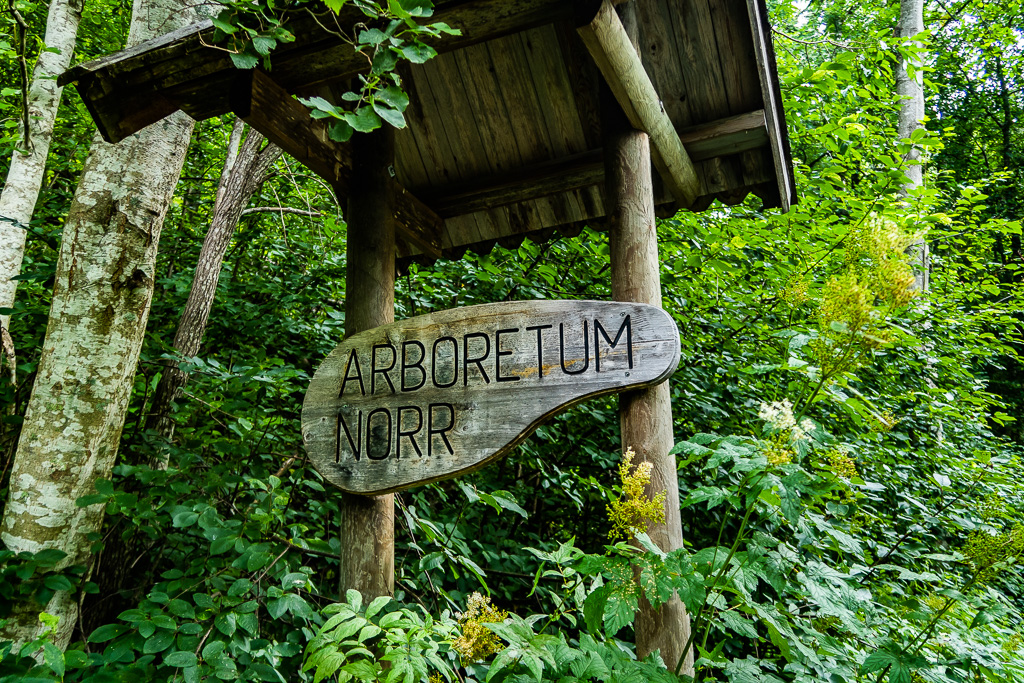 Skylt Arboretum Norr utanför Umeå