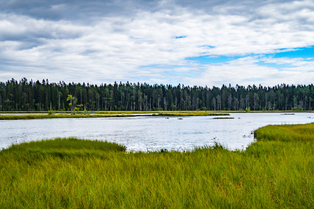 Grossjöns naturreservat