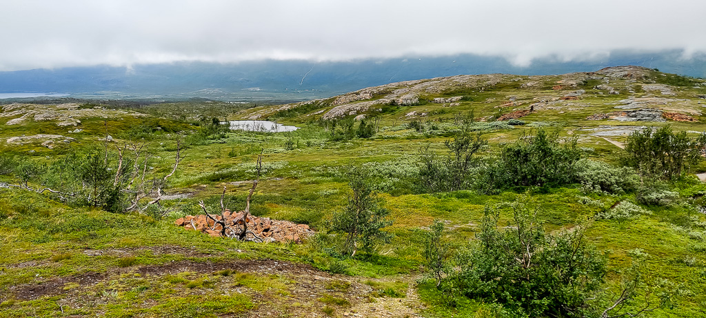 Vy över kalfjället med låga moln