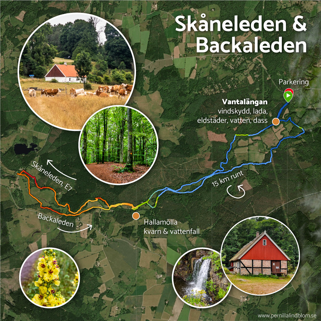 Garminkarta visar vandring längs Skåneleden och Backaleden