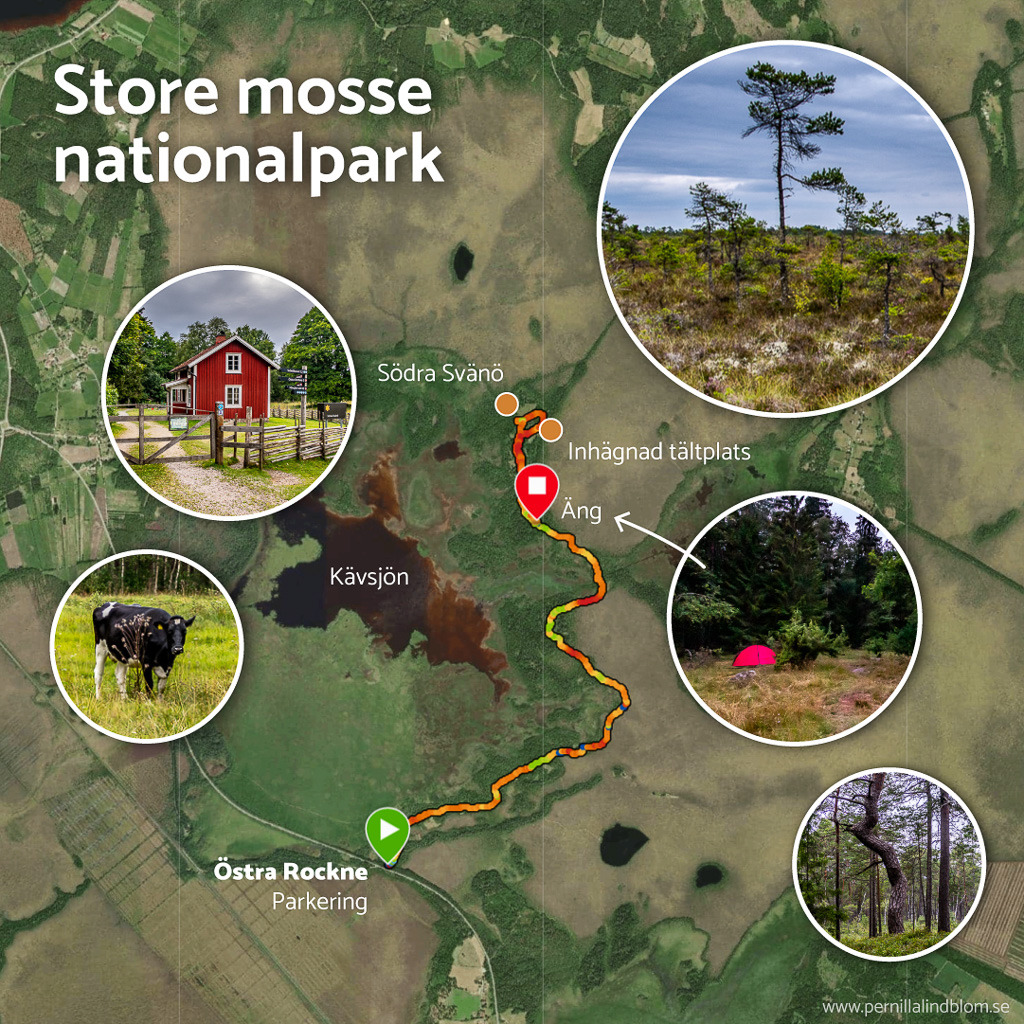 Garminkarta över vandring i Store Mosse nationalpark