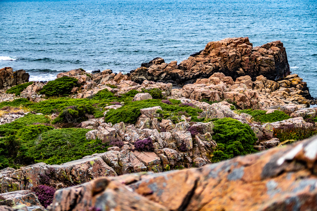 Berggrund vid havet