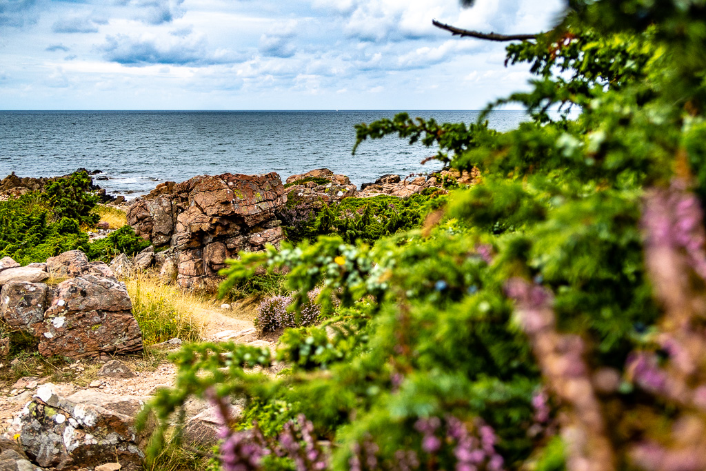 Grönska vid Hovs hallar