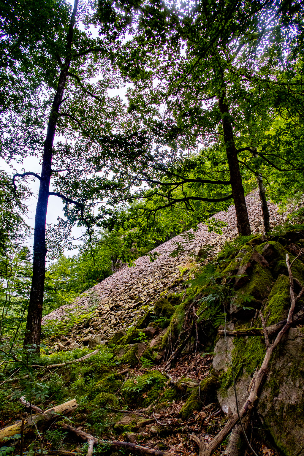 Stenbrant i Söderåsens nationalpark