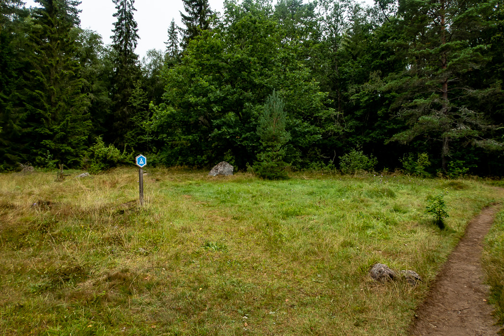 Äng för tält i Store Mosse nationalpark