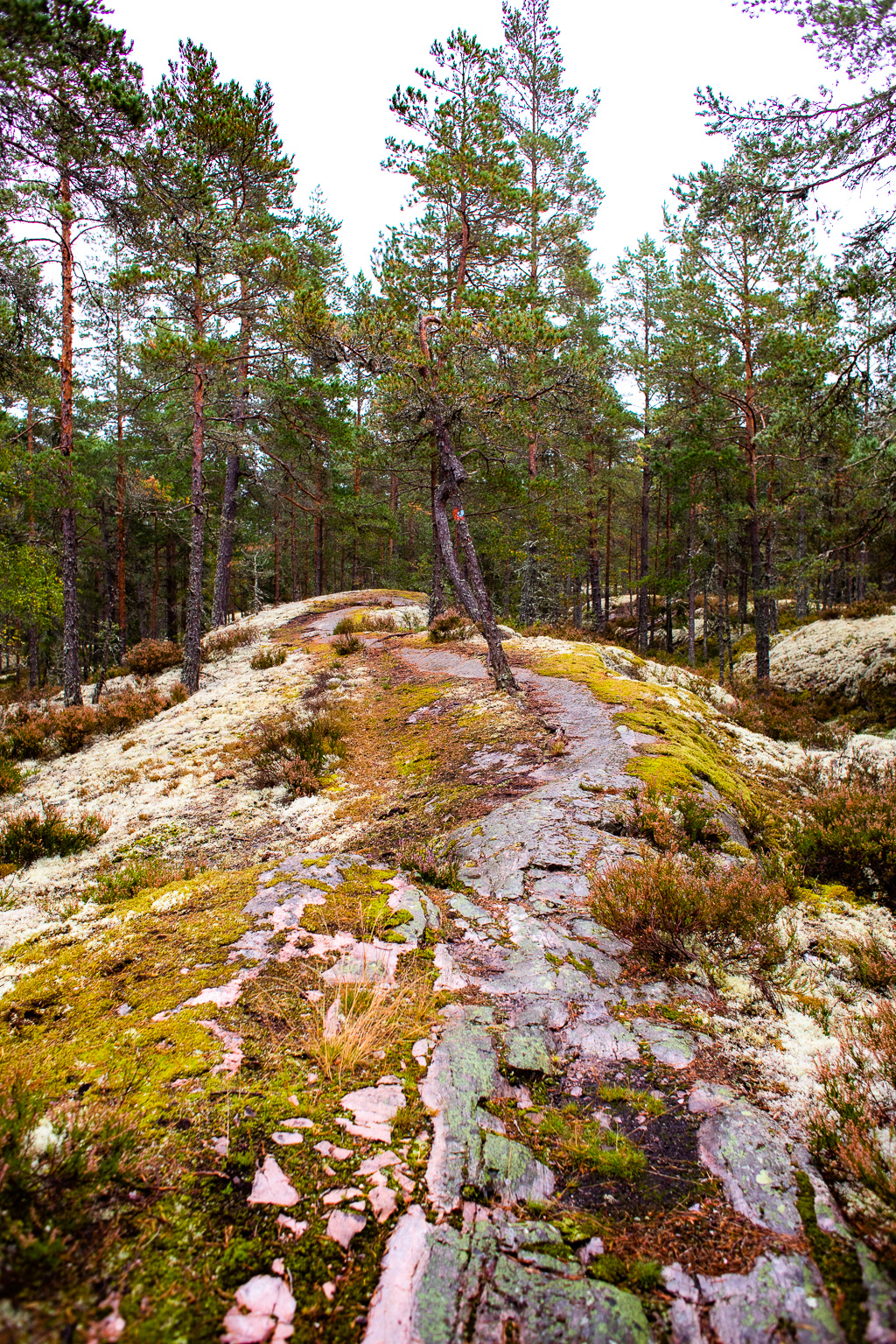 Led över berg