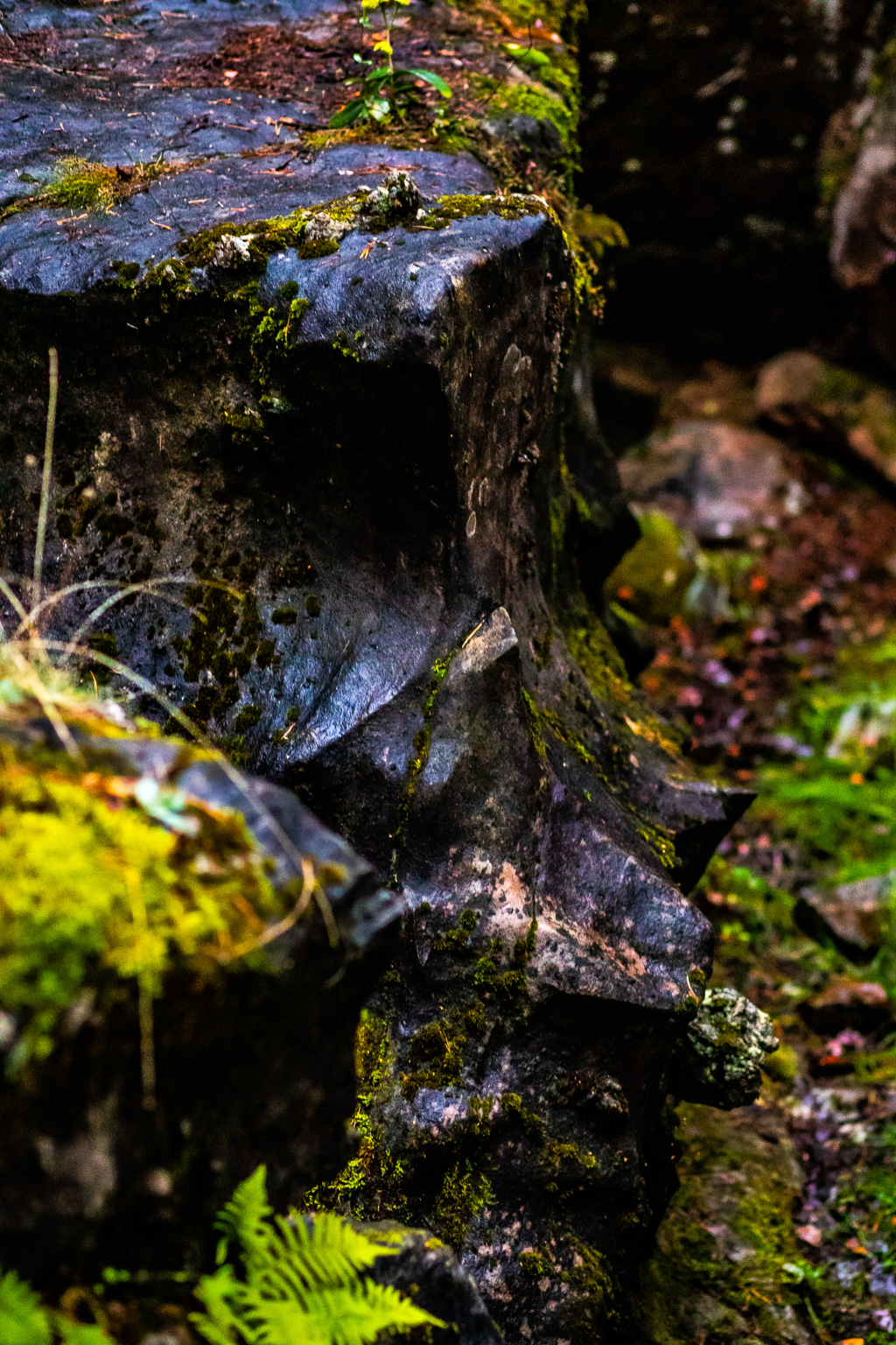 Minikanjon vid Vikitteln, formad av naturens krafter