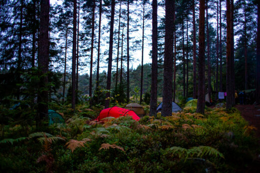 Tält i skogen vid vandringsträff vid Vikitteln