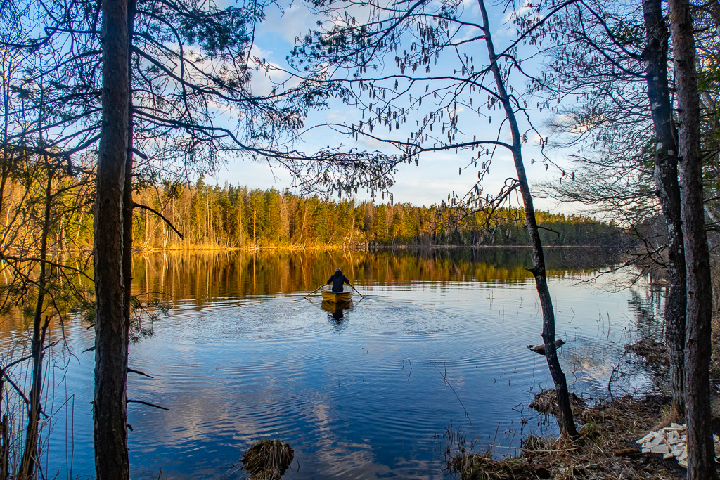 Person ror i eka på sjö