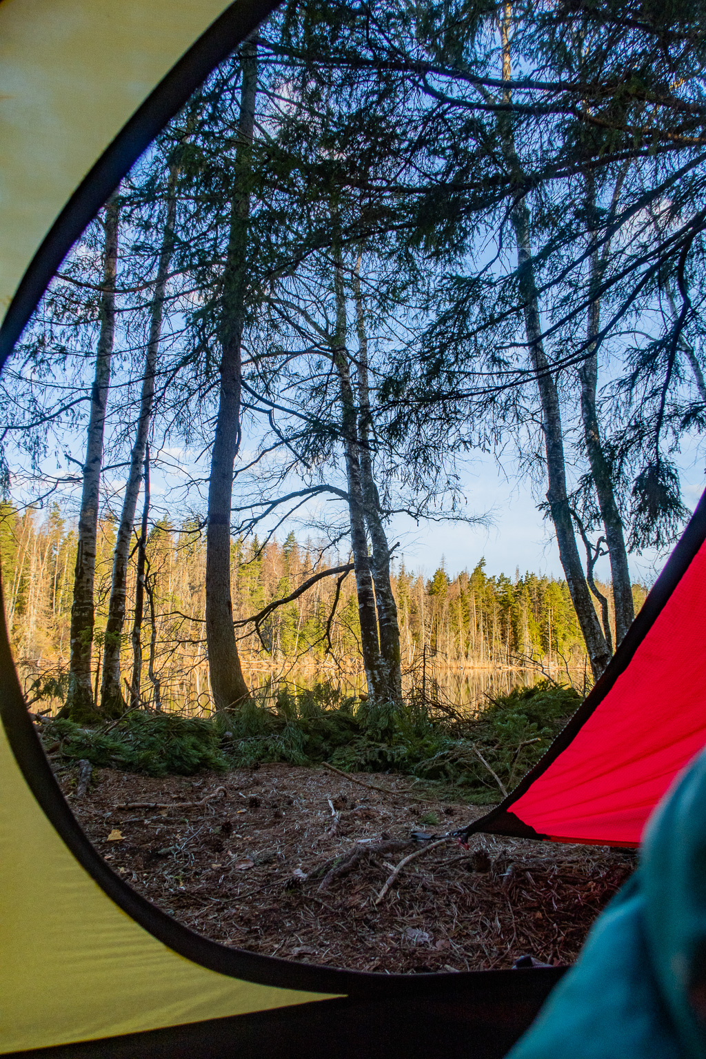 Morgonutsikt inifrån tältet Hilleberg Niak