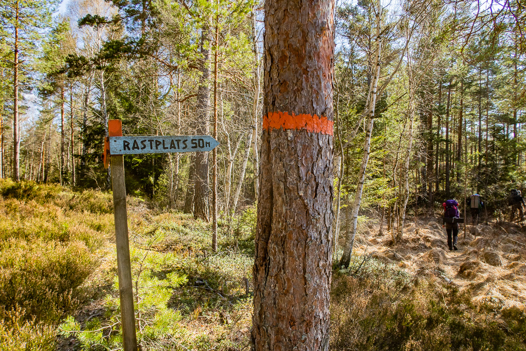 Skylt pekar emot rastplats om 50 meter