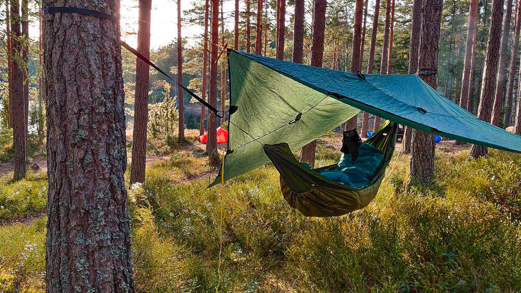 Hängmattan Lesovik med tarp uppsatt mellan träd