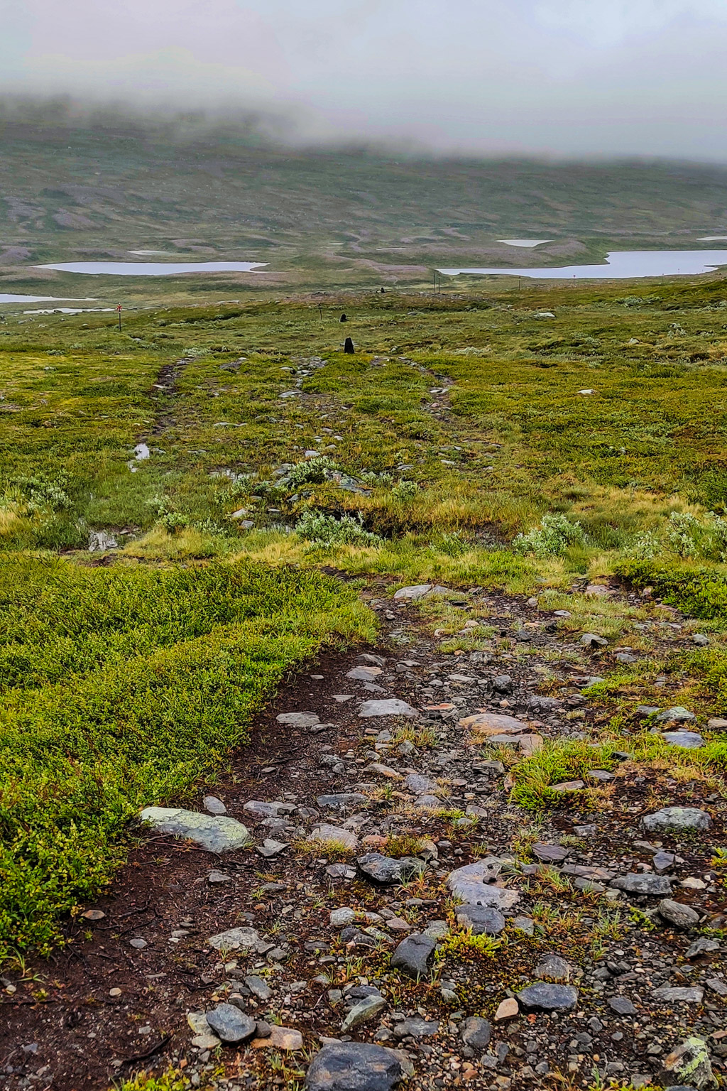 Mulet och molnigt i fjällen