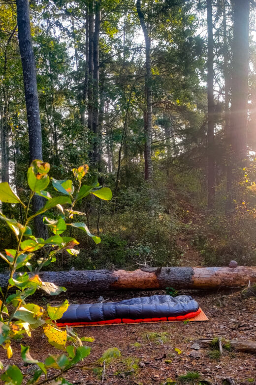 Sovutrustning i skogen placerad direkt på marken för att sova under bar himmel