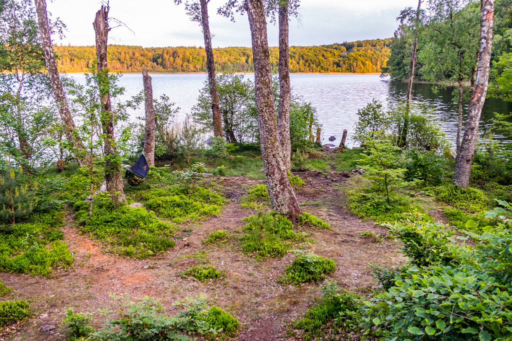 Hängmattan Lesovik uppsatt mellan avkapde träd vid rastplats Björkasjö i Hallans