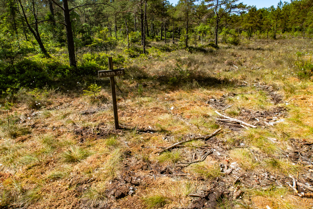 Fyndplatsen för Bockstensmannen